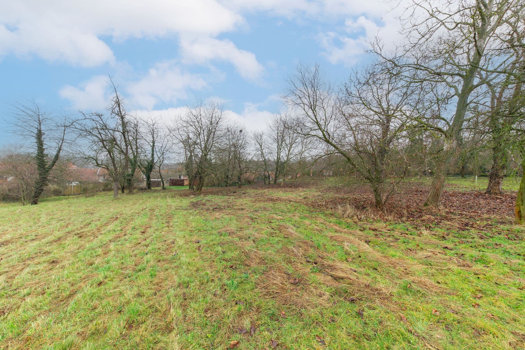 house for sale, 150 m², Skalka, Olomoucký Region house for sale, 150 m², Skalka, Olomoucký Region