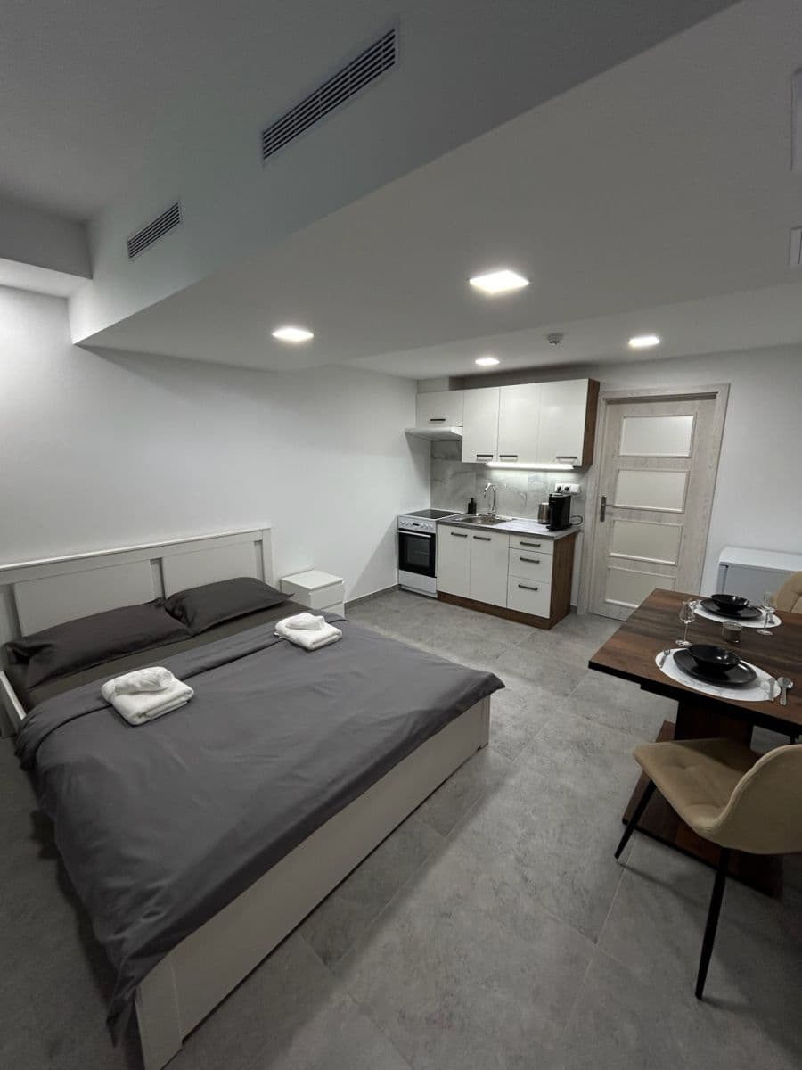 Studio flat to rent, 24 m², Děčínská, Prague, Prague Studio flat to rent, 24 m², Děčínská, Prague, Prague