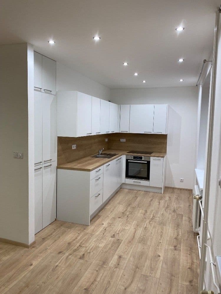 1 bedroom with open-plan kitchen flat to rent, 54 m², Bojanovická, Prague, Prague 1 bedroom with open-plan kitchen flat to rent, 54 m², Bojanovická, Prague, Prague