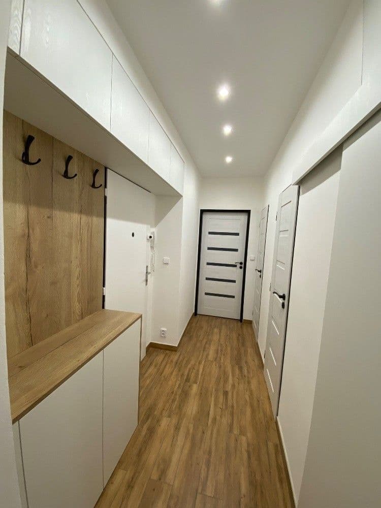 1 bedroom with open-plan kitchen flat to rent, 54 m², Bojanovická, Prague, Prague 1 bedroom with open-plan kitchen flat to rent, 54 m², Bojanovická, Prague, Prague