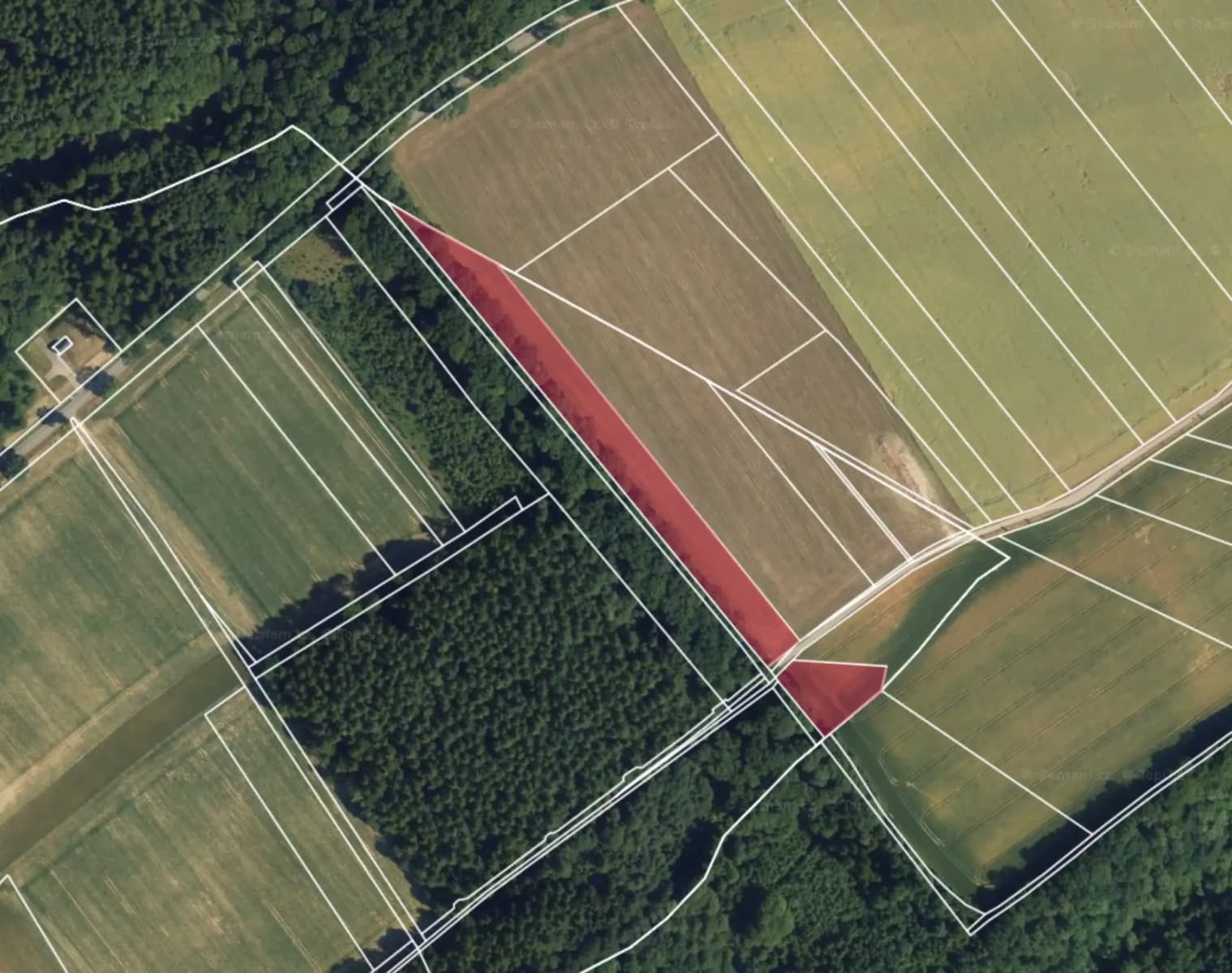 plot for sale, 11,401 m², Letohrad, Pardubický Region plot for sale, 11,401 m², Letohrad, Pardubický Region