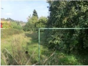 house for sale, 160 m², Hauptstraße 22, Leiben, Lower Austria house for sale, 160 m², Hauptstraße 22, Leiben, Lower Austria