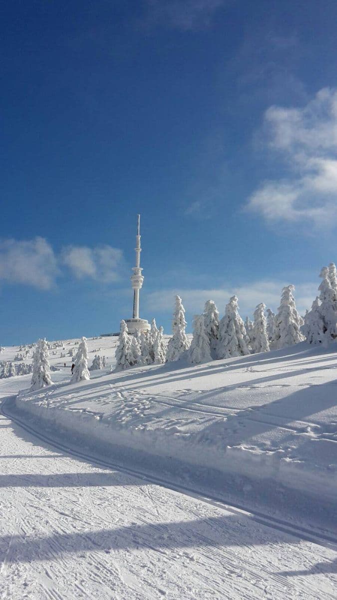 recreational property to rent, 0 m², Dolní Moravice, Moravskoslezský Region recreational property to rent, 0 m², Dolní Moravice, Moravskoslezský Region