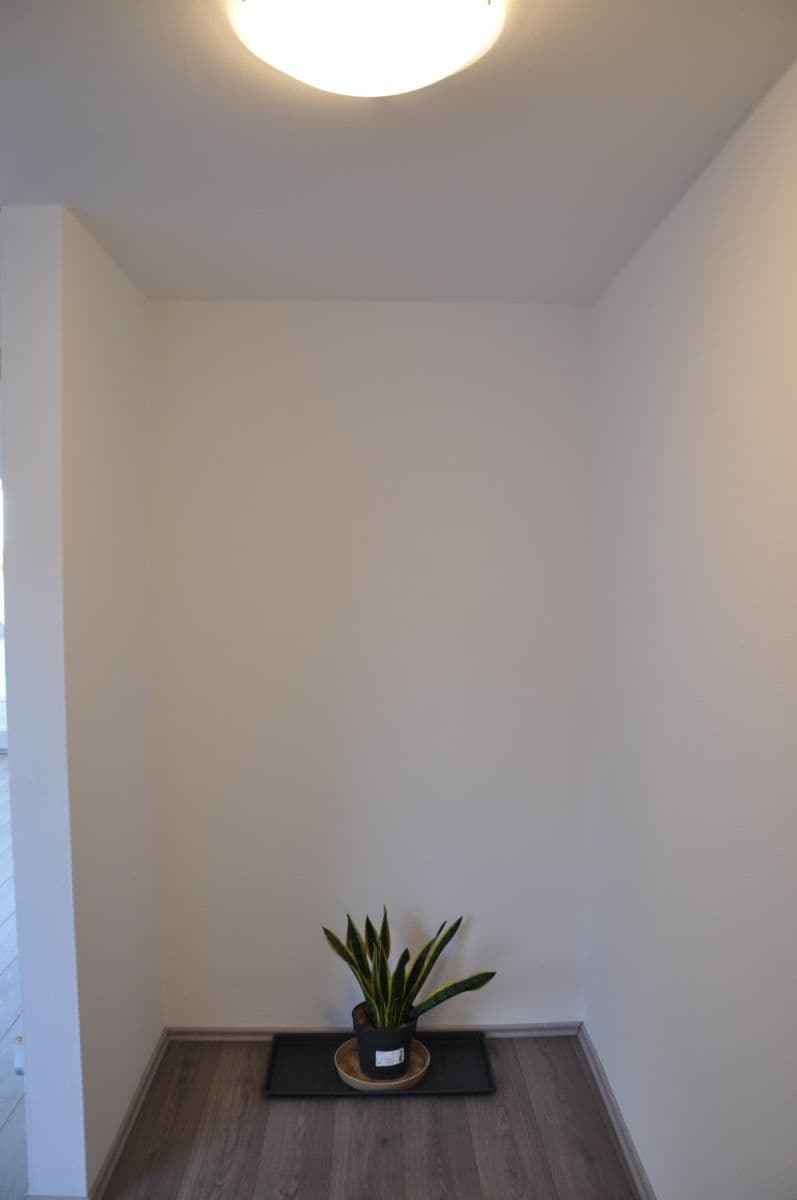 1 bedroom flat for sale, 48 m², Pri píle, Hamuliakovo, Bratislavský Region 1 bedroom flat for sale, 48 m², Pri píle, Hamuliakovo, Bratislavský Region