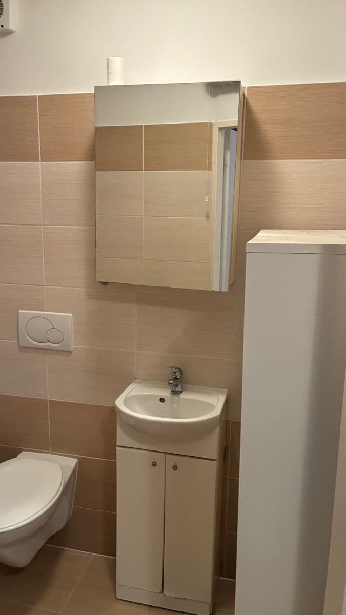 1 bedroom flat to rent, 19 m², Píseckého, Prague, Prague 1 bedroom flat to rent, 19 m², Píseckého, Prague, Prague