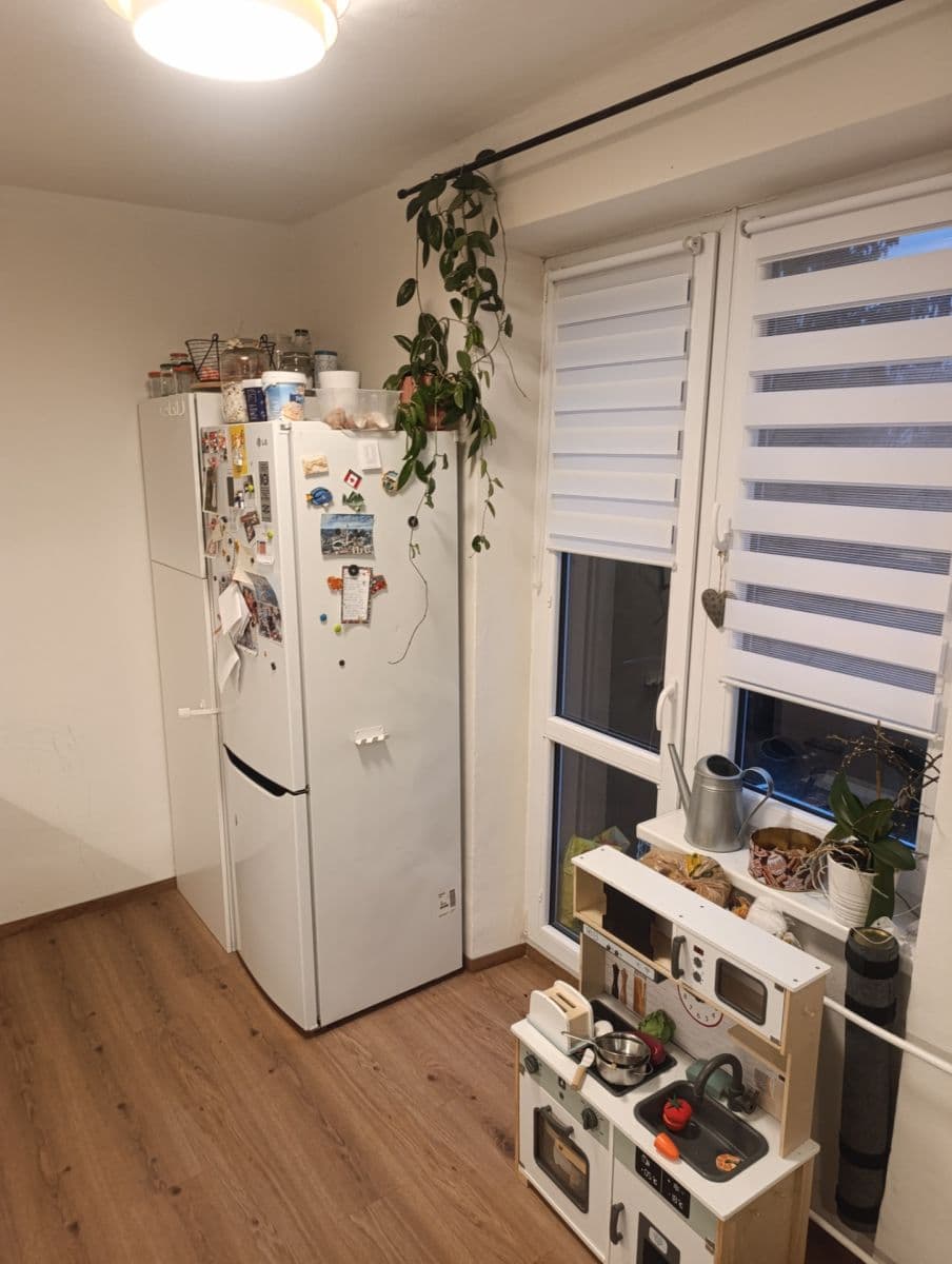 1 bedroom with open-plan kitchen flat to rent, 54 m², Hodonínská, Prague, Prague 1 bedroom with open-plan kitchen flat to rent, 54 m², Hodonínská, Prague, Prague