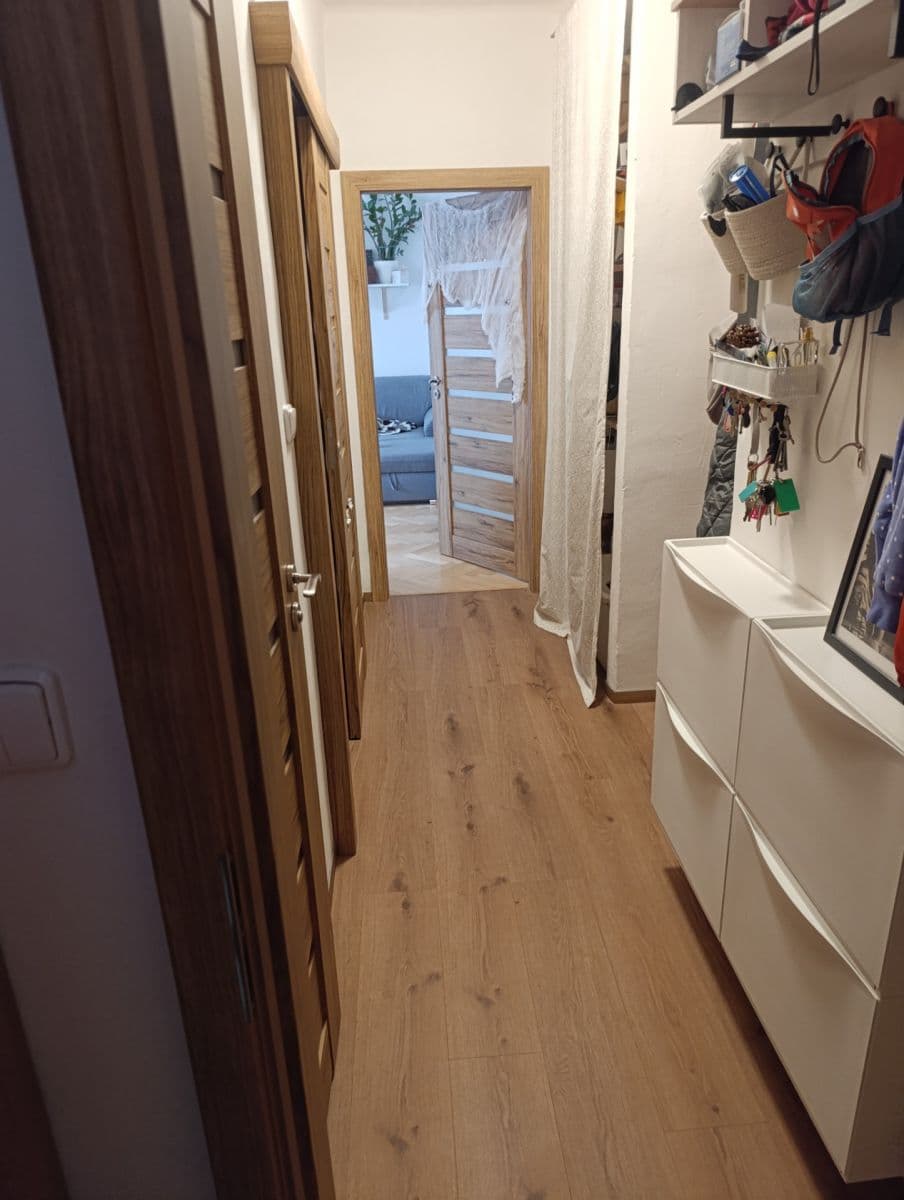 1 bedroom with open-plan kitchen flat to rent, 54 m², Hodonínská, Prague, Prague 1 bedroom with open-plan kitchen flat to rent, 54 m², Hodonínská, Prague, Prague