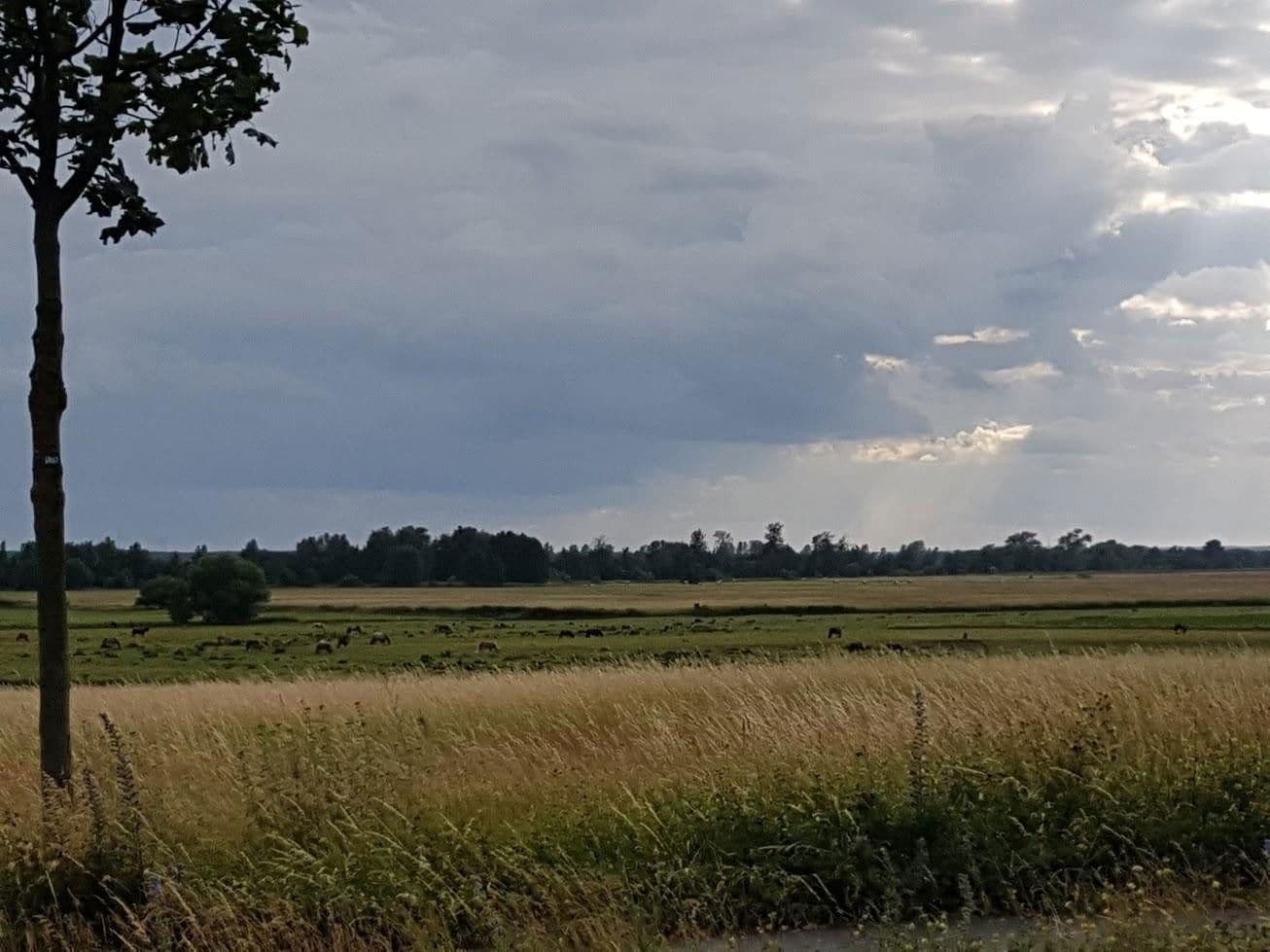 house to rent, 147 m², Siedlerweg 4, Groß Kreutz (Havel), Brandenburg house to rent, 147 m², Siedlerweg 4, Groß Kreutz (Havel), Brandenburg