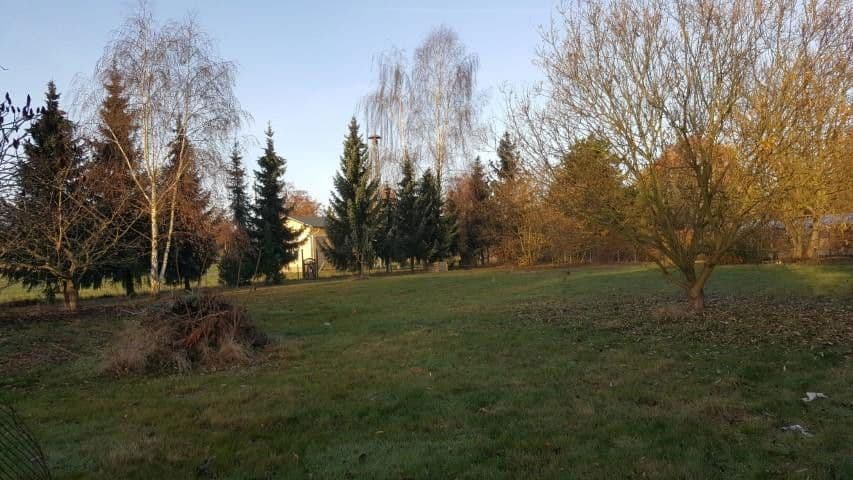 house to rent, 147 m², Siedlerweg 4, Groß Kreutz (Havel), Brandenburg house to rent, 147 m², Siedlerweg 4, Groß Kreutz (Havel), Brandenburg