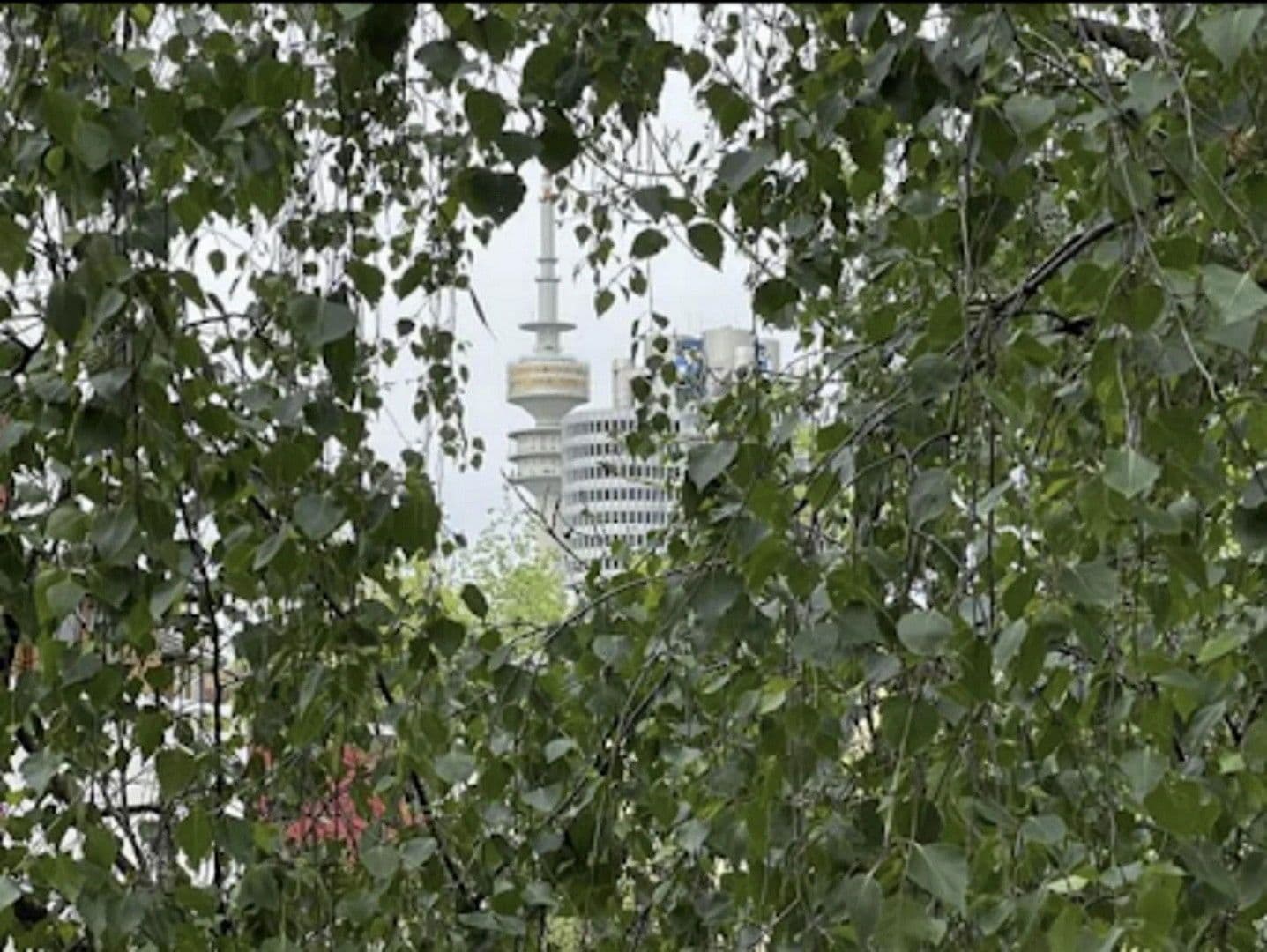 2 bedroom flat to rent, 57 m², München, Bavaria 2 bedroom flat to rent, 57 m², München, Bavaria