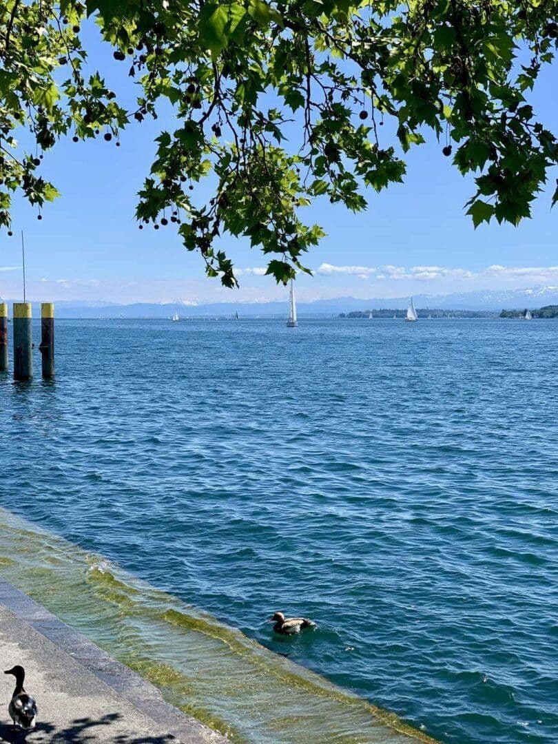 2 bedroom flat for sale, 51 m², Christophstraße 8, Überlingen, Baden-Württemberg 2 bedroom flat for sale, 51 m², Christophstraße 8, Überlingen, Baden-Württemberg