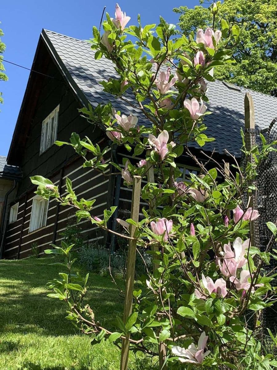 recreational property to rent, 0 m², Sedloňov, Královéhradecký Region recreational property to rent, 0 m², Sedloňov, Královéhradecký Region