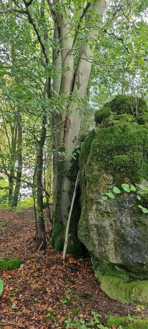 house for sale, 96 m², Waischenfeld, Bavaria house for sale, 96 m², Waischenfeld, Bavaria