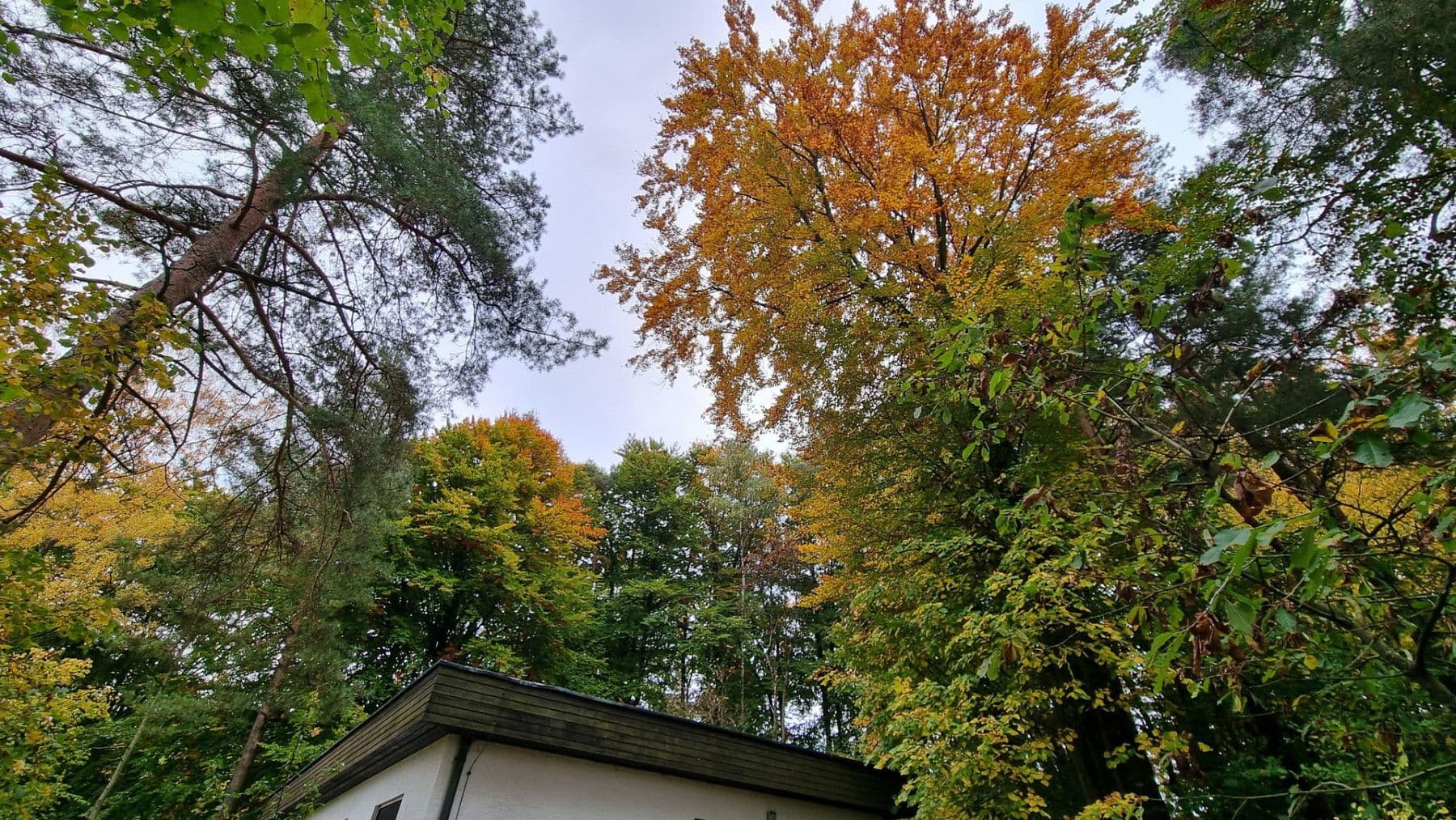 house for sale, 96 m², Waischenfeld, Bavaria house for sale, 96 m², Waischenfeld, Bavaria