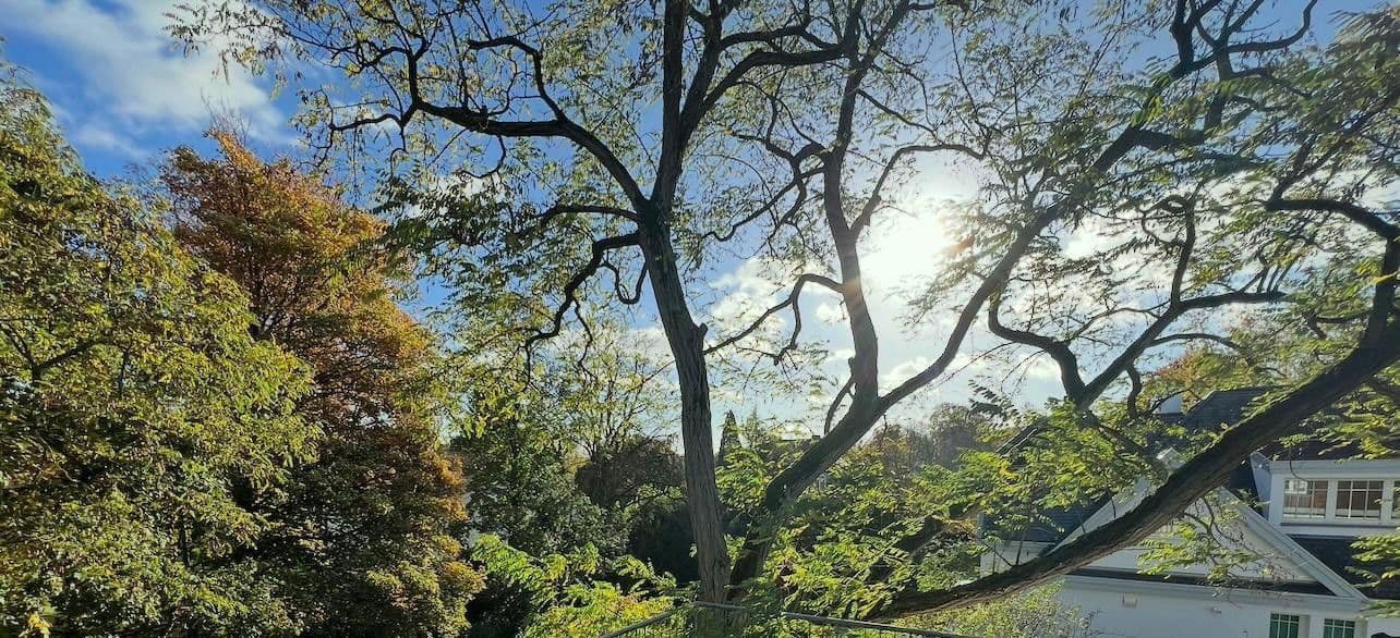 office to rent, 75 m², Robert-Heuser-Str. 15, Köln, North Rhine-Westphalia office to rent, 75 m², Robert-Heuser-Str. 15, Köln, North Rhine-Westphalia