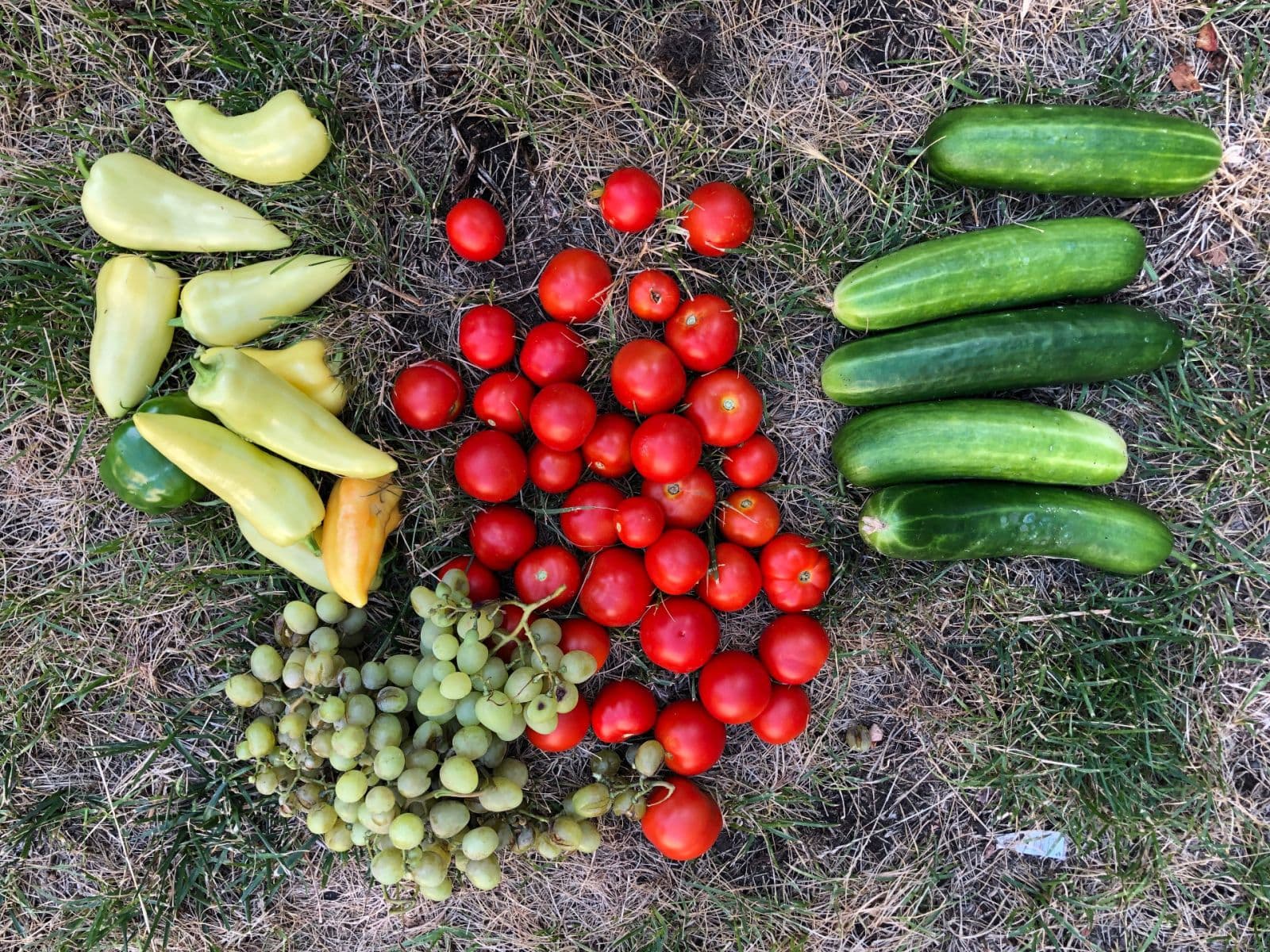 Studio flat for sale, 55 m², Kodaňská, Prague, Prague Studio flat for sale, 55 m², Kodaňská, Prague, Prague