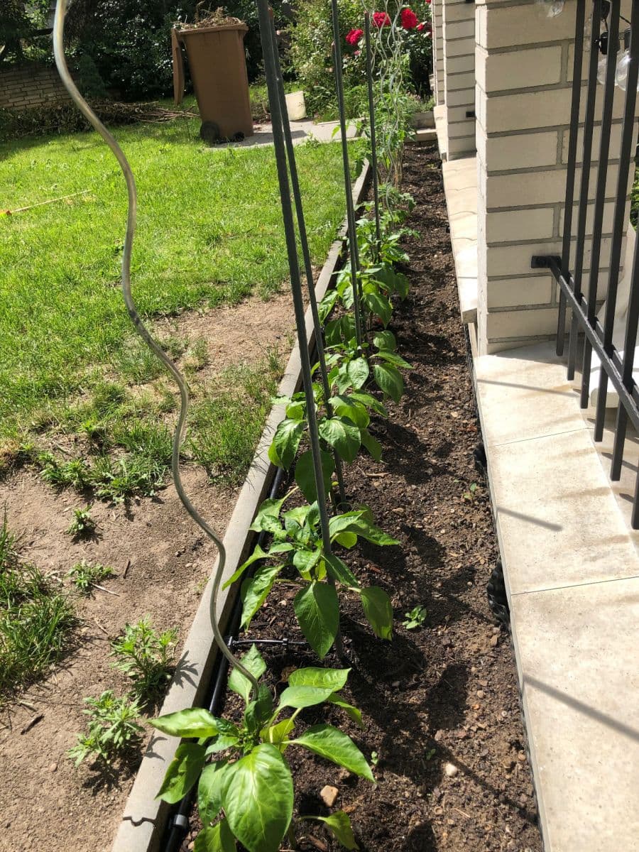 Studio flat for sale, 55 m², Kodaňská, Prague, Prague Studio flat for sale, 55 m², Kodaňská, Prague, Prague