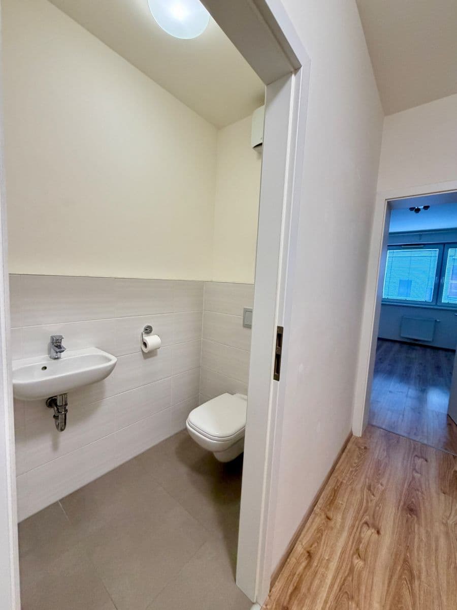 1 bedroom with open-plan kitchen flat to rent, 55 m², V Zahrádkách, Prague, Prague 1 bedroom with open-plan kitchen flat to rent, 55 m², V Zahrádkách, Prague, Prague