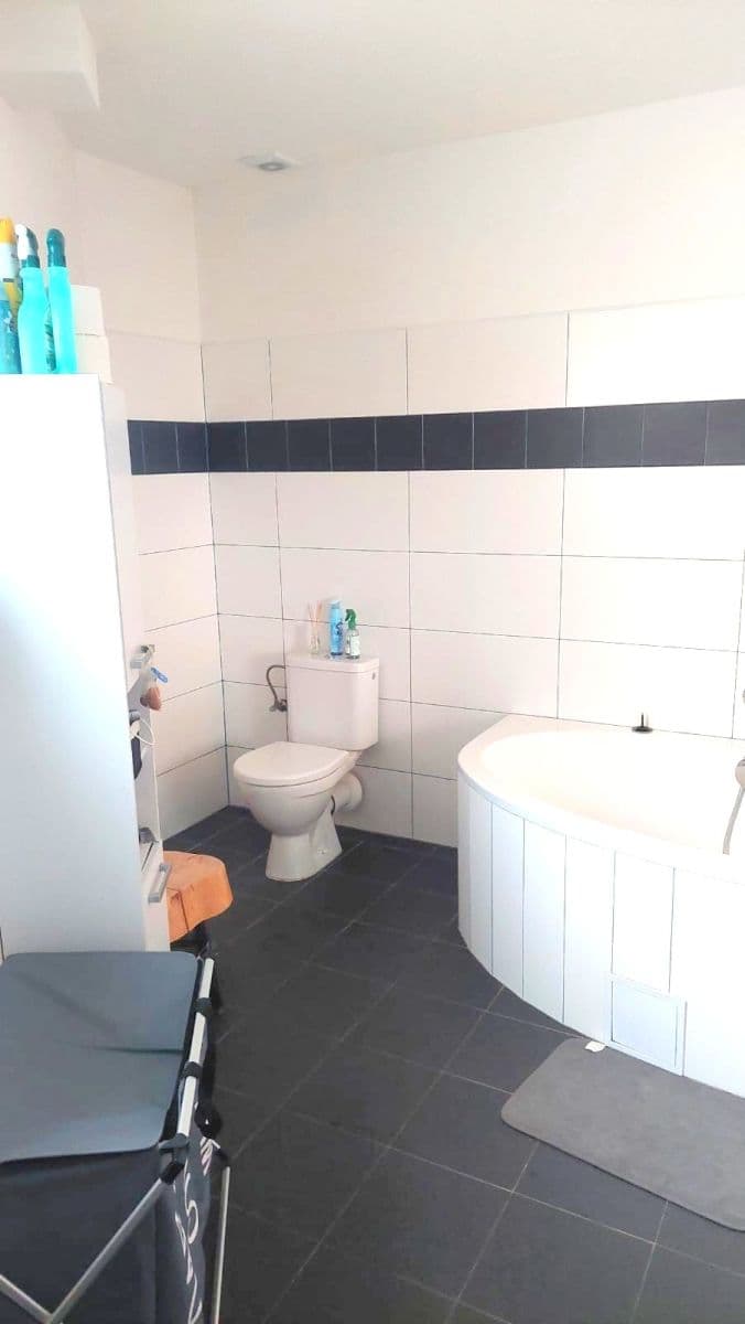 1 bedroom with open-plan kitchen flat to rent, 66 m², Ořešská, Prague, Prague 1 bedroom with open-plan kitchen flat to rent, 66 m², Ořešská, Prague, Prague