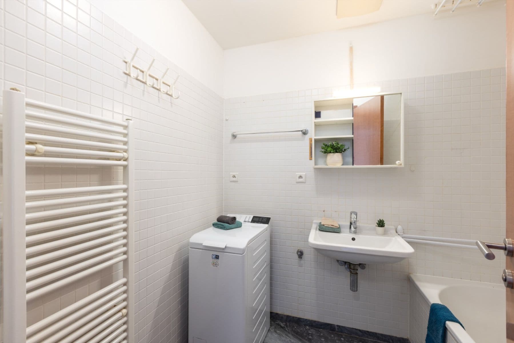 1 bedroom with open-plan kitchen flat to rent, 50 m², Paříkova, Prague, Prague 1 bedroom with open-plan kitchen flat to rent, 50 m², Paříkova, Prague, Prague