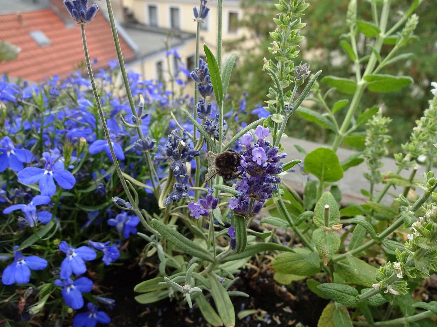 5 bedroom flat for sale, 133 m², Berlin, Berlin 5 bedroom flat for sale, 133 m², Berlin, Berlin