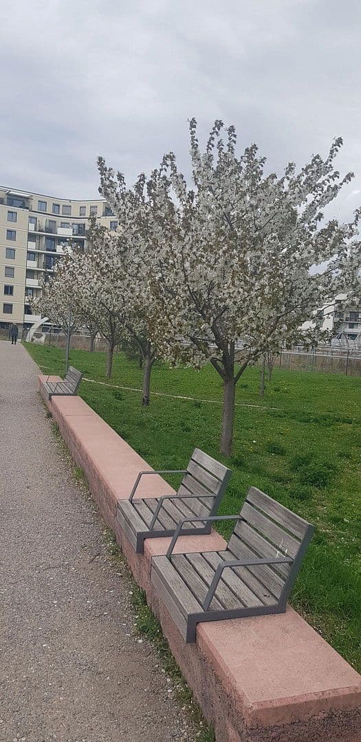 2 bedroom flat for sale, 41 m², Nippongasse 8, Wien, Vienna 2 bedroom flat for sale, 41 m², Nippongasse 8, Wien, Vienna