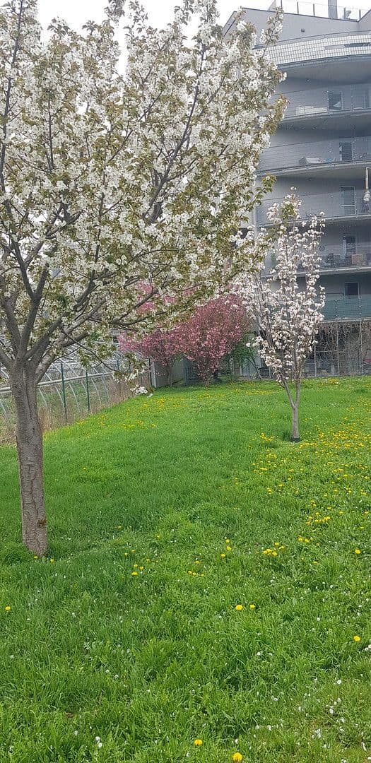 2 bedroom flat for sale, 41 m², Nippongasse 8, Wien, Vienna 2 bedroom flat for sale, 41 m², Nippongasse 8, Wien, Vienna