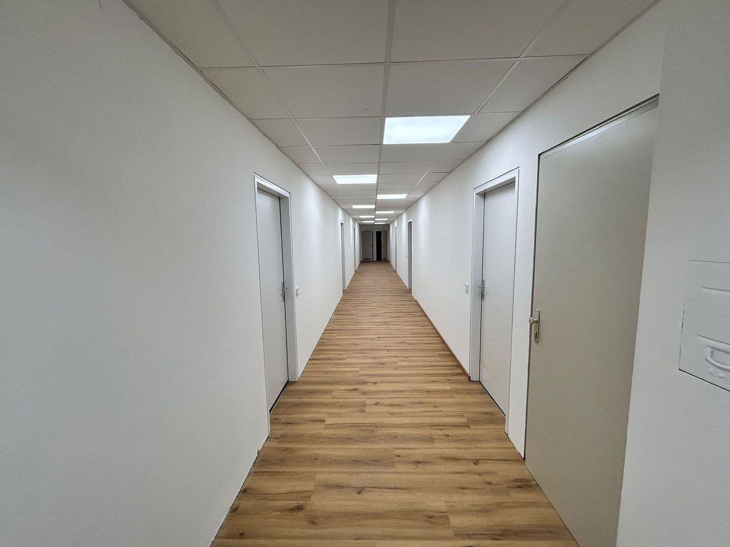 office to rent, 425 m², Plunkergasse 13-15, Wien, Vienna office to rent, 425 m², Plunkergasse 13-15, Wien, Vienna