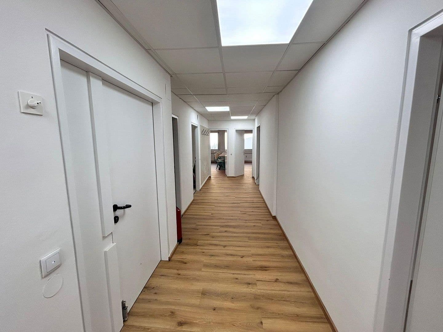 office to rent, 425 m², Plunkergasse 13-15, Wien, Vienna office to rent, 425 m², Plunkergasse 13-15, Wien, Vienna