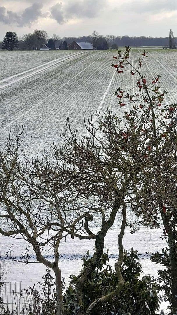 2 bedroom flat to rent, 68 m², Fasanenweg 24, Datteln, North Rhine-Westphalia 2 bedroom flat to rent, 68 m², Fasanenweg 24, Datteln, North Rhine-Westphalia