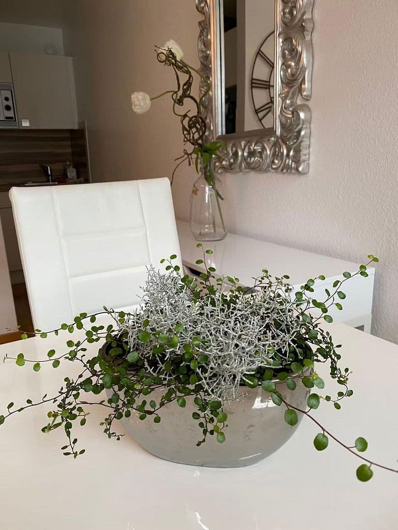 2 bedroom flat to rent, 55 m², Mannheim, Baden-Württemberg 2 bedroom flat to rent, 55 m², Mannheim, Baden-Württemberg