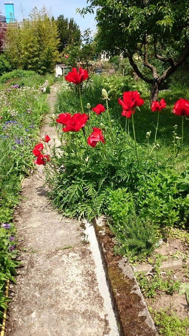 house to rent, 121 m², Otzberg, Hesse house to rent, 121 m², Otzberg, Hesse