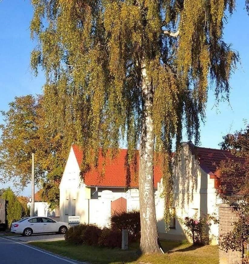 recreational property to rent, 0 m², Dunajovice, Jihočeský Region recreational property to rent, 0 m², Dunajovice, Jihočeský Region