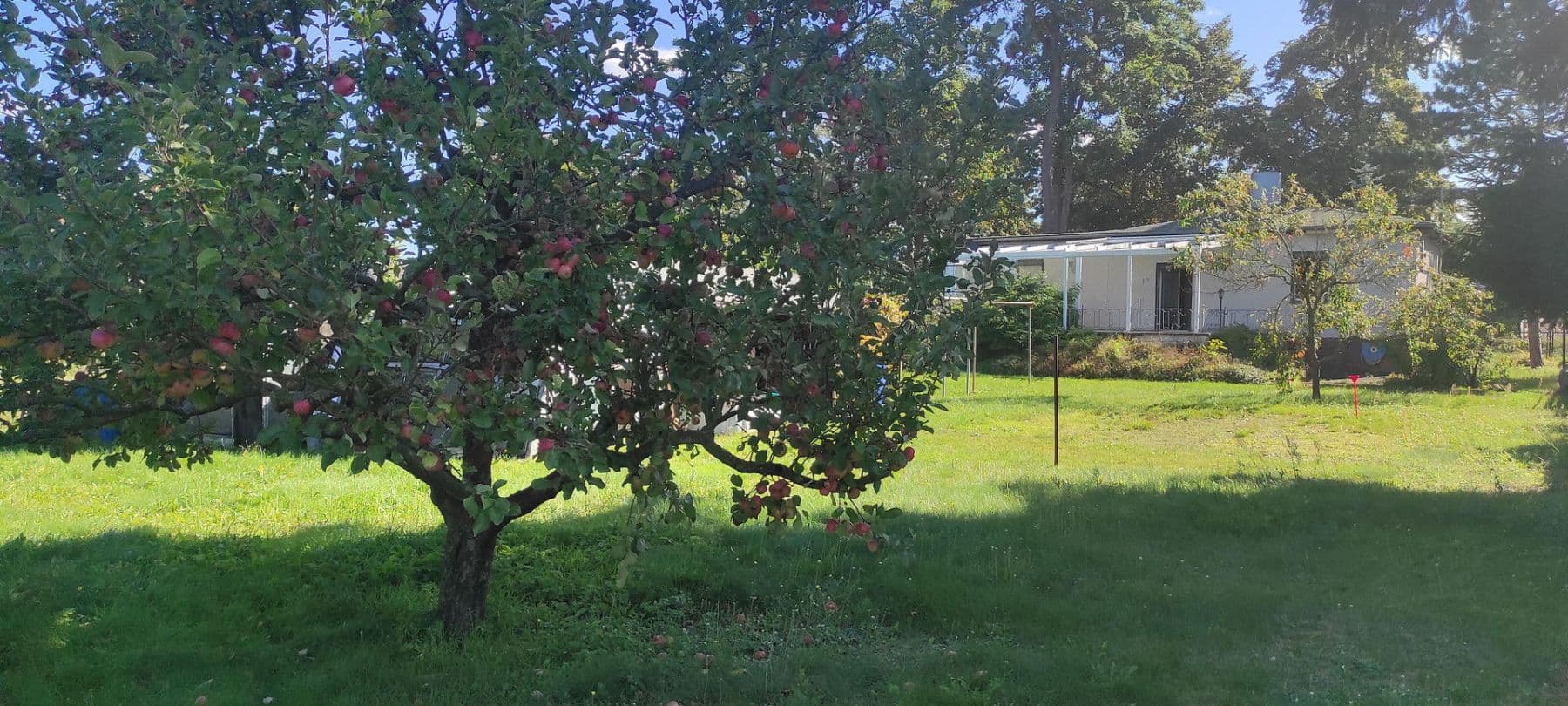 plot for sale, 605 m², Mahlsdorfer Straße 31, Hoppegarten, Brandenburg plot for sale, 605 m², Mahlsdorfer Straße 31, Hoppegarten, Brandenburg