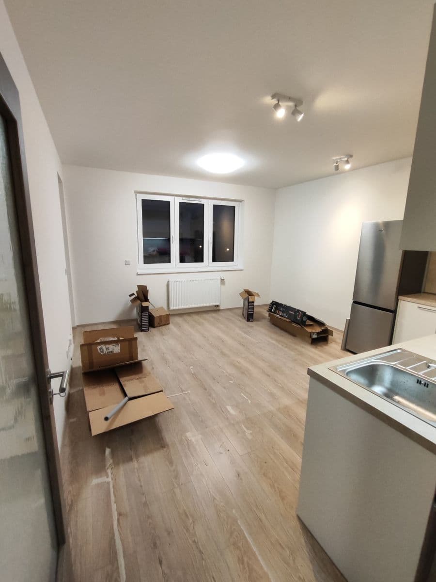 1 bedroom with open-plan kitchen flat to rent, 42 m², Fabiánové, Prague, Prague 1 bedroom with open-plan kitchen flat to rent, 42 m², Fabiánové, Prague, Prague