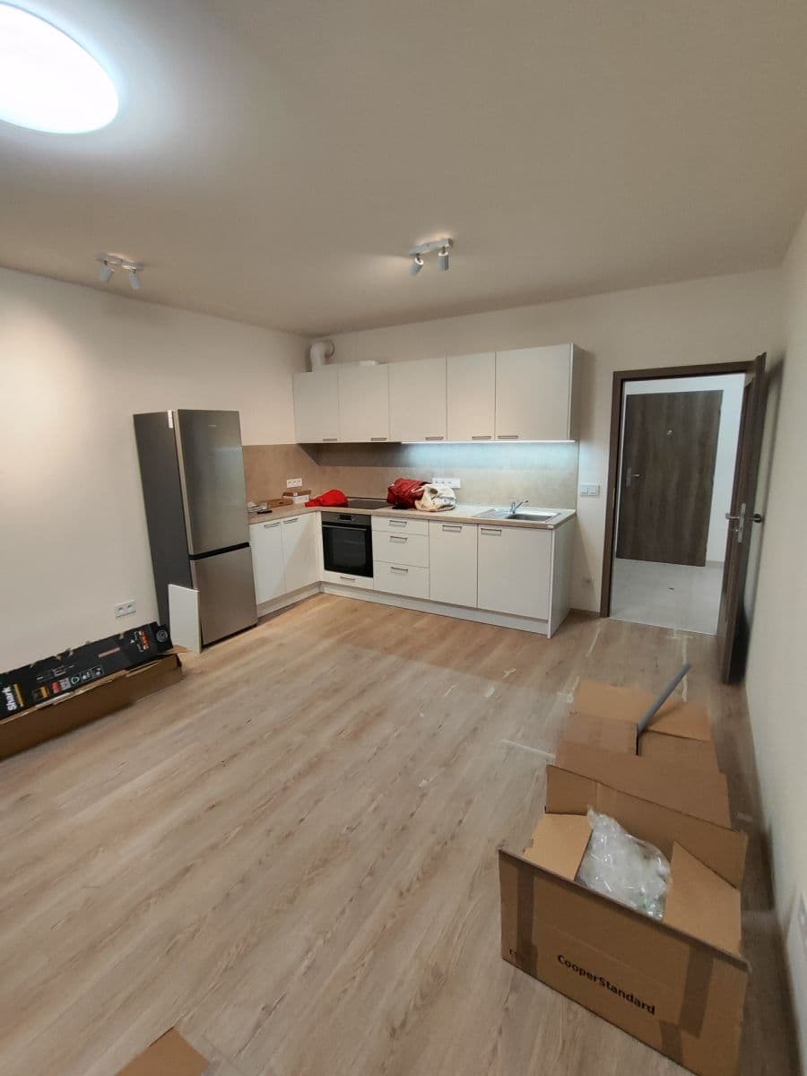 1 bedroom with open-plan kitchen flat to rent, 42 m², Fabiánové, Prague, Prague 1 bedroom with open-plan kitchen flat to rent, 42 m², Fabiánové, Prague, Prague