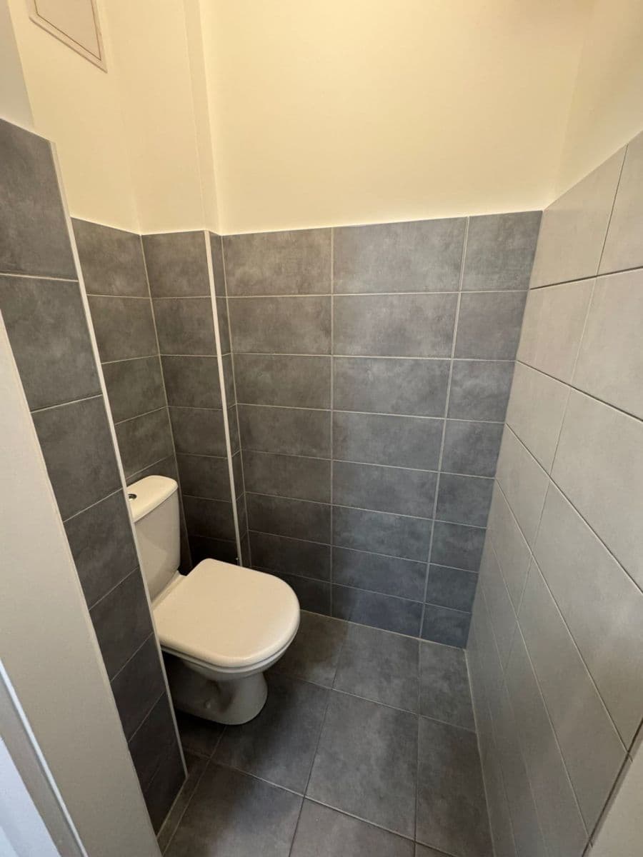 1 bedroom with open-plan kitchen flat to rent, 50 m², Jana Želivského, Prague, Prague 1 bedroom with open-plan kitchen flat to rent, 50 m², Jana Želivského, Prague, Prague