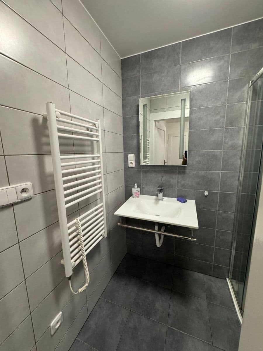 1 bedroom with open-plan kitchen flat to rent, 50 m², Jana Želivského, Prague, Prague 1 bedroom with open-plan kitchen flat to rent, 50 m², Jana Želivského, Prague, Prague