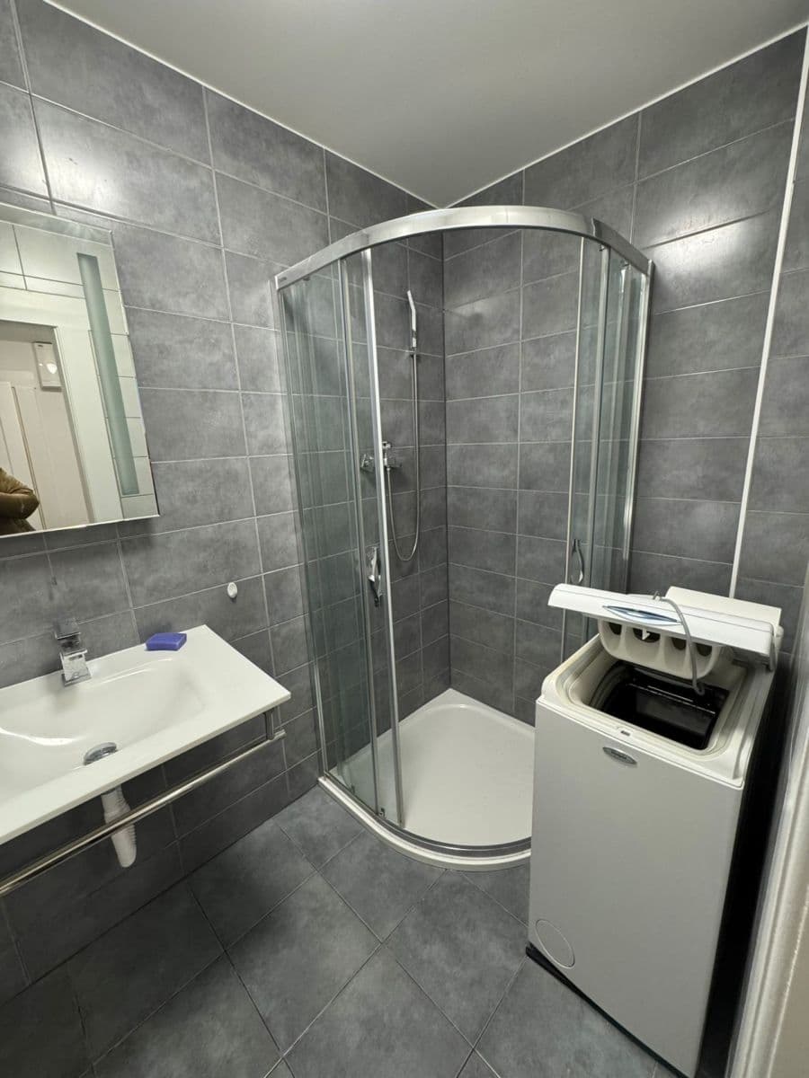 1 bedroom with open-plan kitchen flat to rent, 50 m², Jana Želivského, Prague, Prague 1 bedroom with open-plan kitchen flat to rent, 50 m², Jana Želivského, Prague, Prague