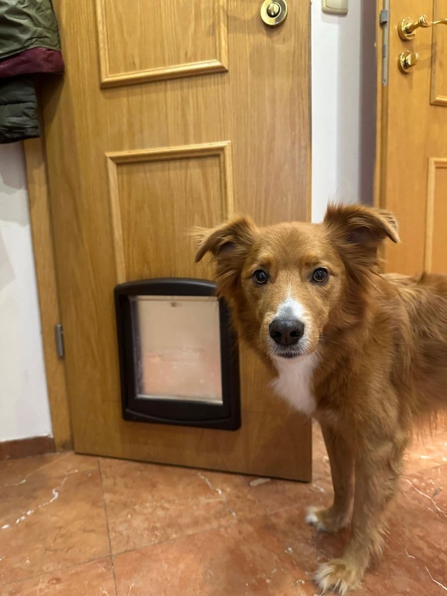 3 bedroom flat to rent, 87 m², Odlehlá, Prague, Prague 3 bedroom flat to rent, 87 m², Odlehlá, Prague, Prague