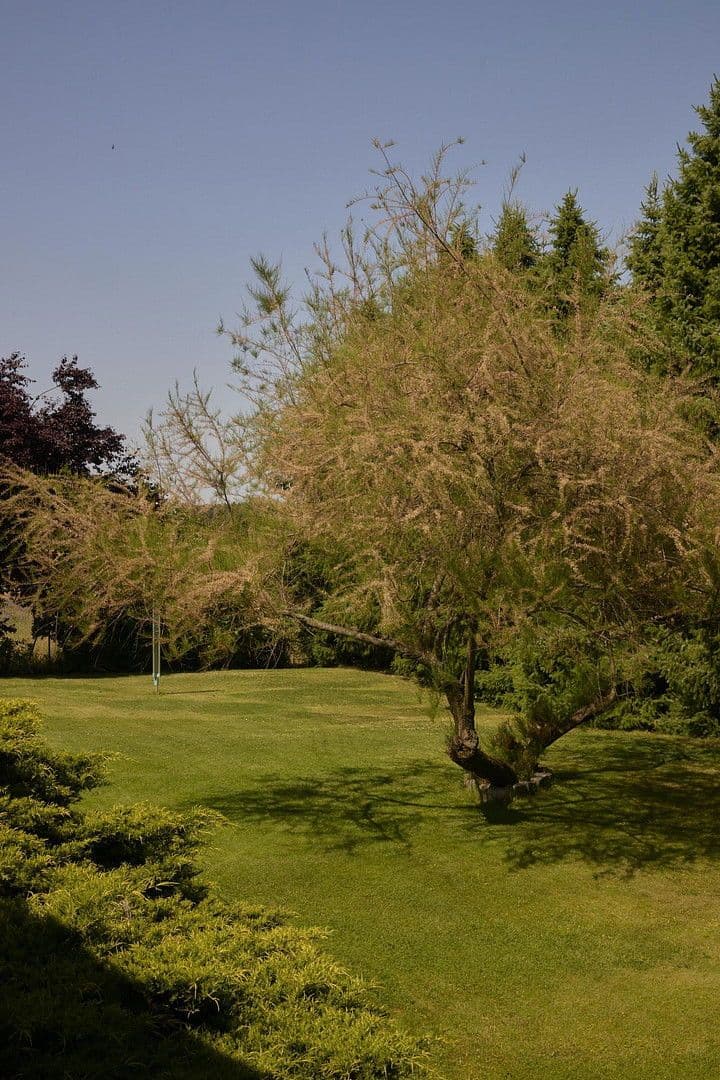 house for sale, 277 m², Treuenbrietzen, Brandenburg house for sale, 277 m², Treuenbrietzen, Brandenburg