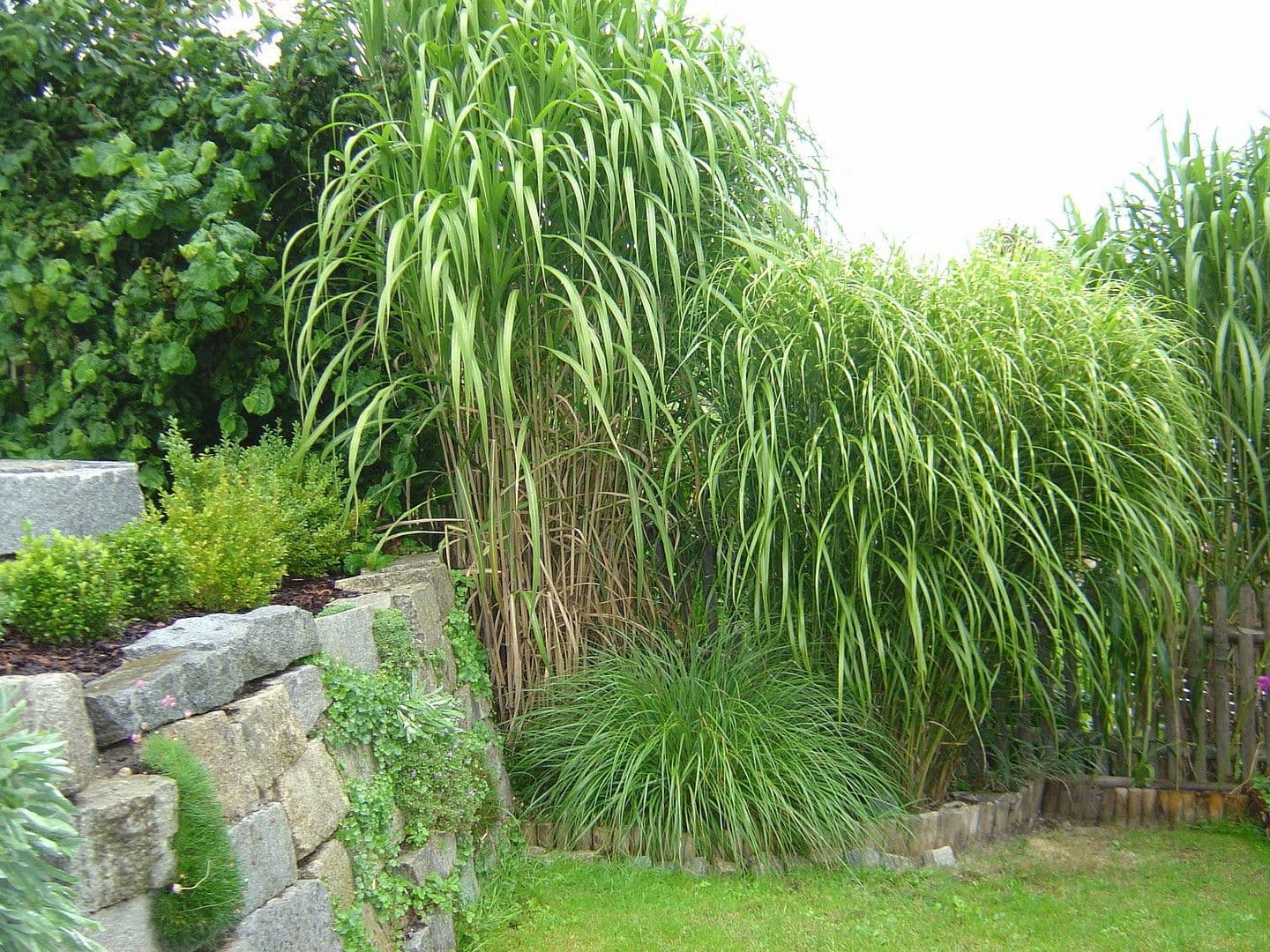 house for sale, 152 m², Aßling, Bavaria house for sale, 152 m², Aßling, Bavaria