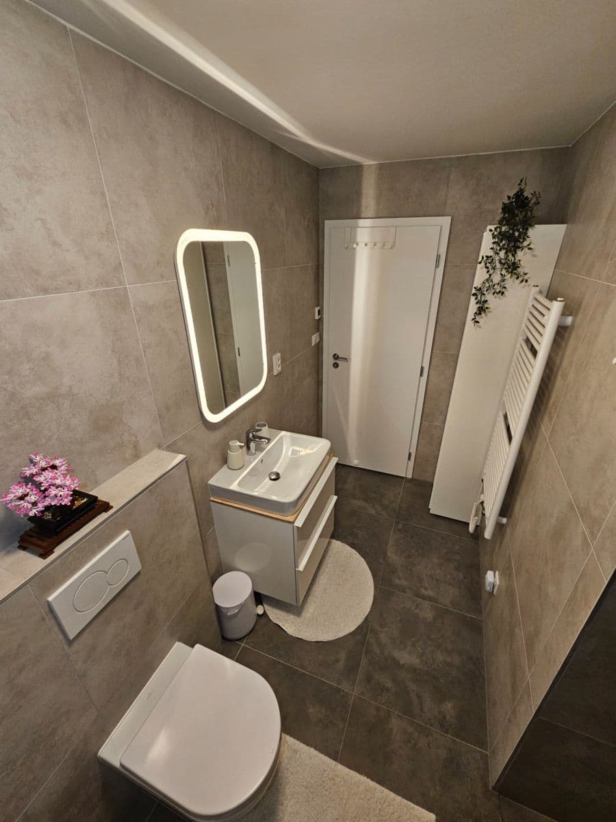 1 bedroom with open-plan kitchen flat to rent, 56 m², Stavební, Brno, Jihomoravský Region 1 bedroom with open-plan kitchen flat to rent, 56 m², Stavební, Brno, Jihomoravský Region