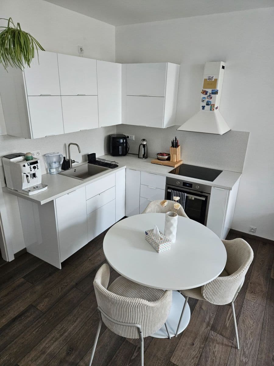 1 bedroom with open-plan kitchen flat to rent, 56 m², Stavební, Brno, Jihomoravský Region 1 bedroom with open-plan kitchen flat to rent, 56 m², Stavební, Brno, Jihomoravský Region