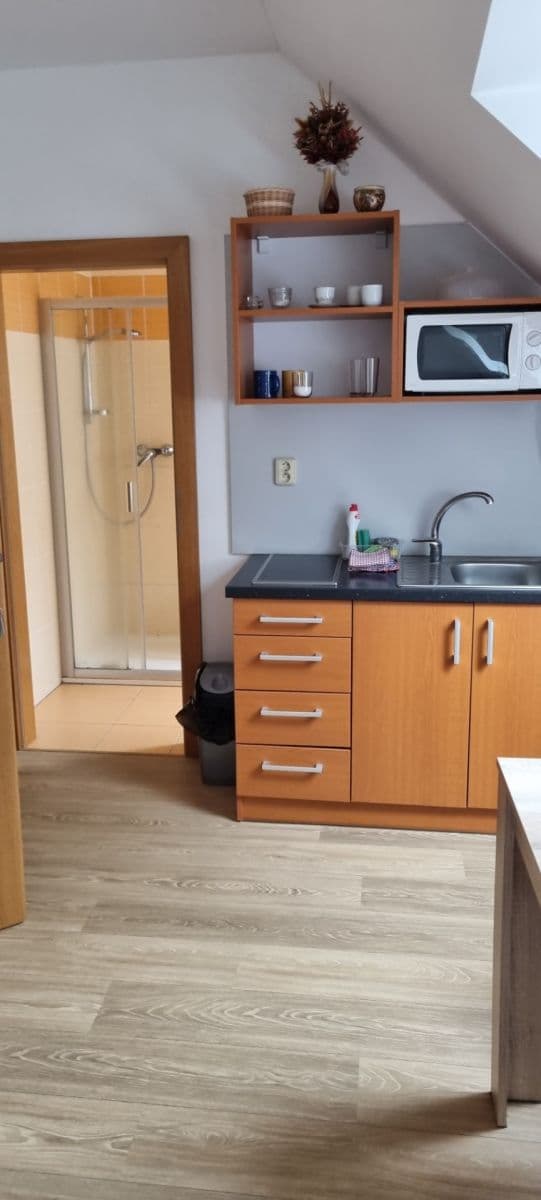 Studio flat to rent, 21 m², Olešnice, Jihočeský Region Studio flat to rent, 21 m², Olešnice, Jihočeský Region