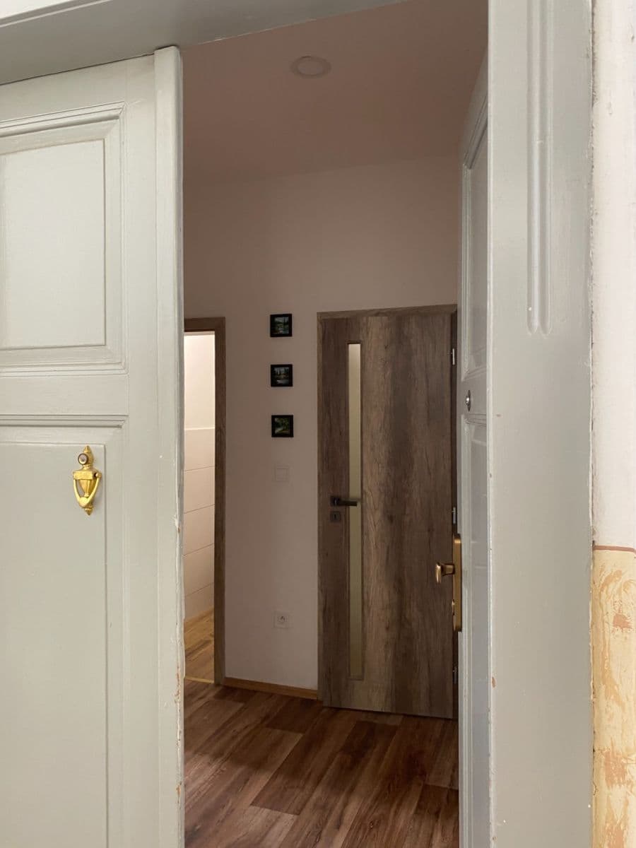 1 bedroom with open-plan kitchen flat to rent, 50 m², Svěchyňova, Chrudim, Pardubický Region 1 bedroom with open-plan kitchen flat to rent, 50 m², Svěchyňova, Chrudim, Pardubický Region