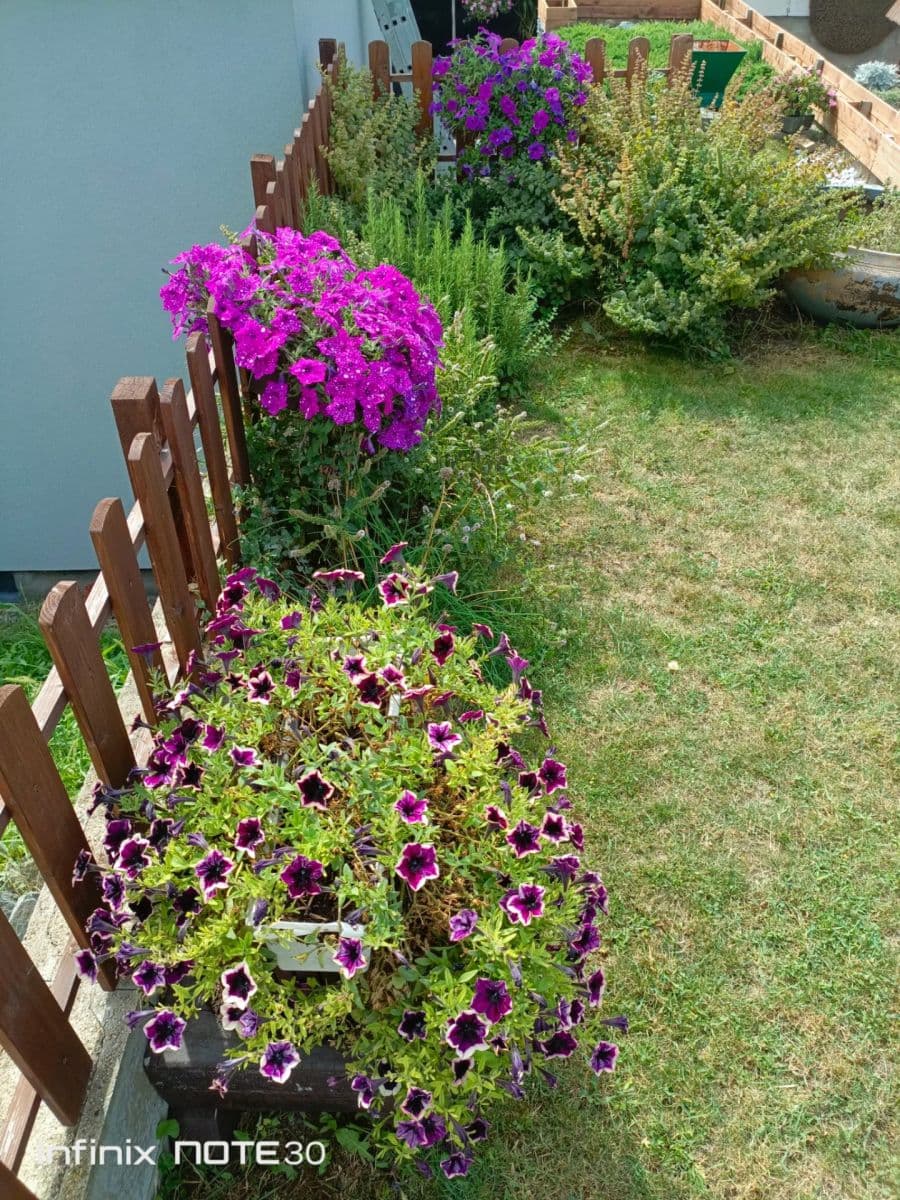 house for sale, 140 m², Hrušecká, Týnec, Jihomoravský Region house for sale, 140 m², Hrušecká, Týnec, Jihomoravský Region