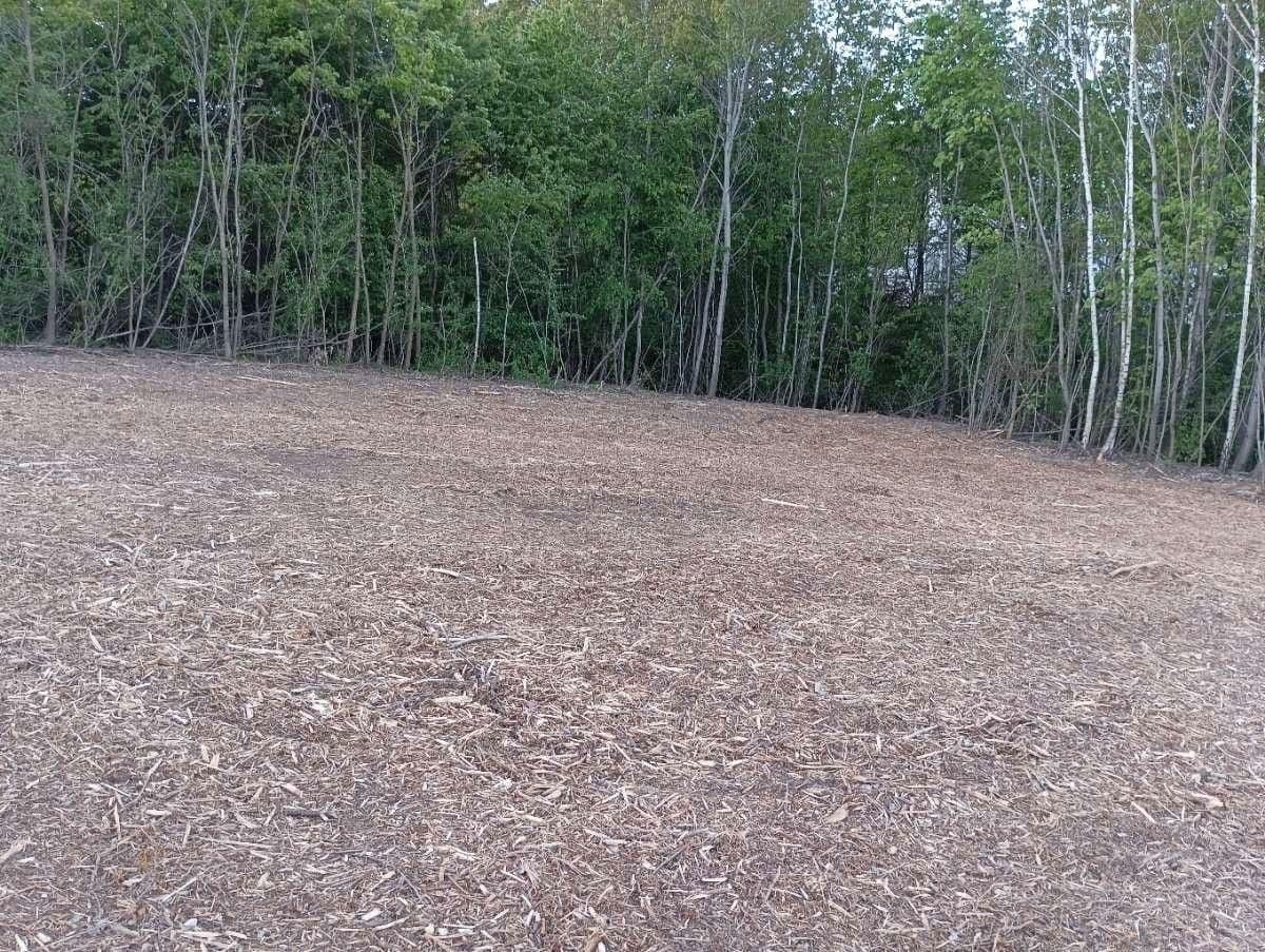 plot for sale, 803 m², Fichtengasse 1, Kaisersdorf, Burgenland plot for sale, 803 m², Fichtengasse 1, Kaisersdorf, Burgenland