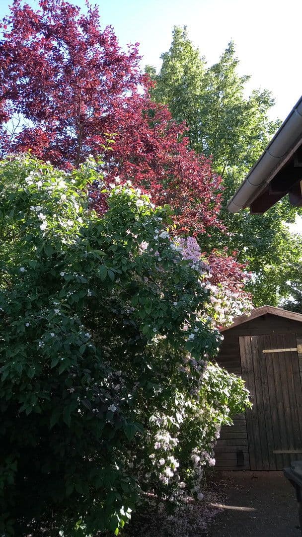 house for sale, 137 m², Brieselang, Brandenburg house for sale, 137 m², Brieselang, Brandenburg