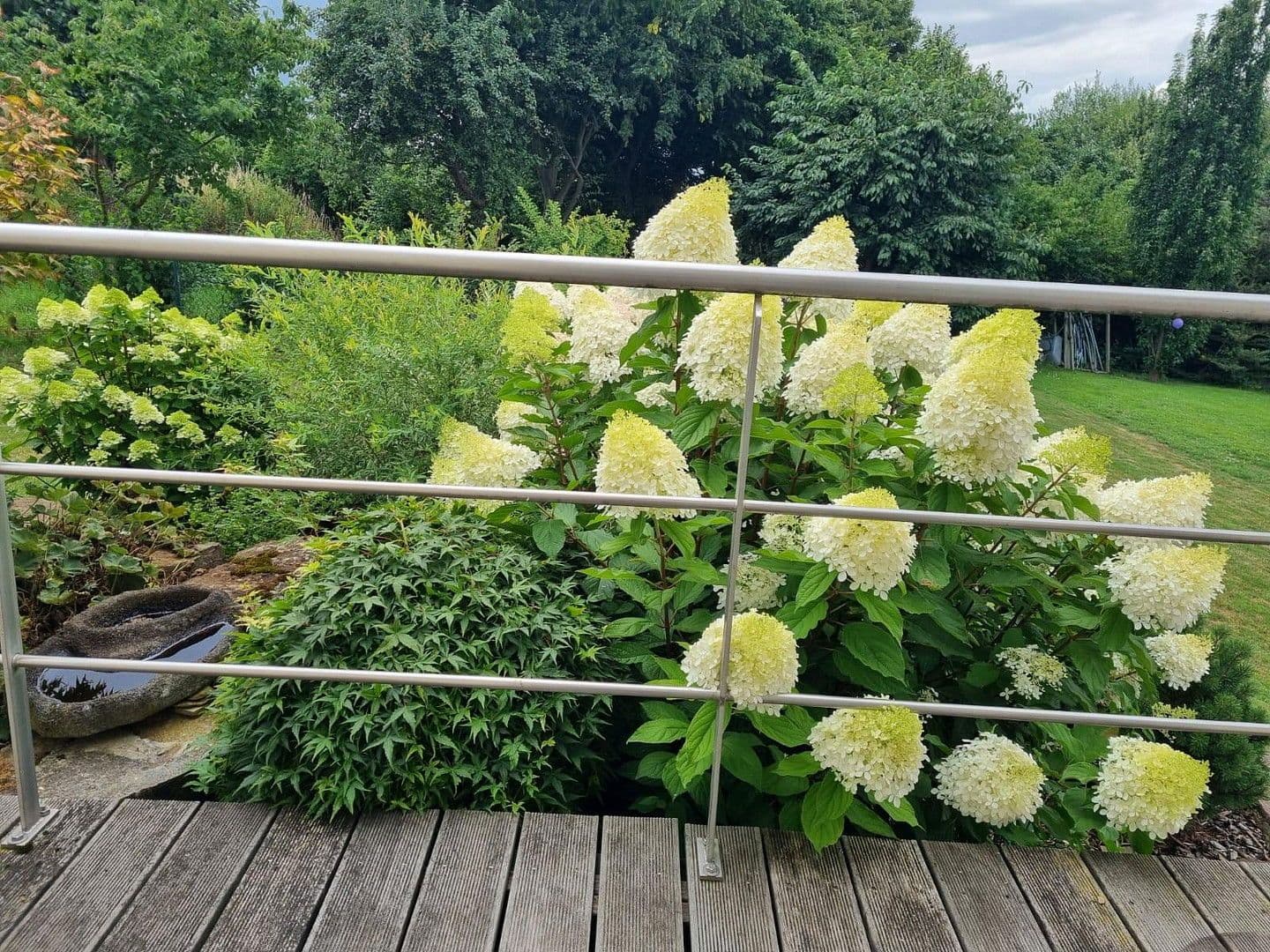 house for sale, 273 m², Einbeck, Lower Saxony house for sale, 273 m², Einbeck, Lower Saxony